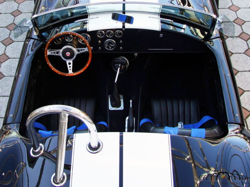 Cobra Weineck Cobra 12.9 Liter