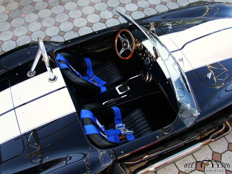 Cobra Weineck Cobra 12.9 Liter