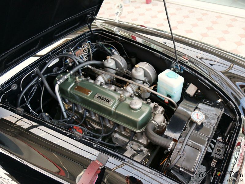 Austin Healey 100/6 BN4