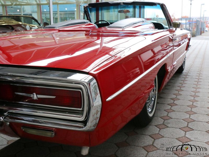 Ford Thunderbird Flair Bird