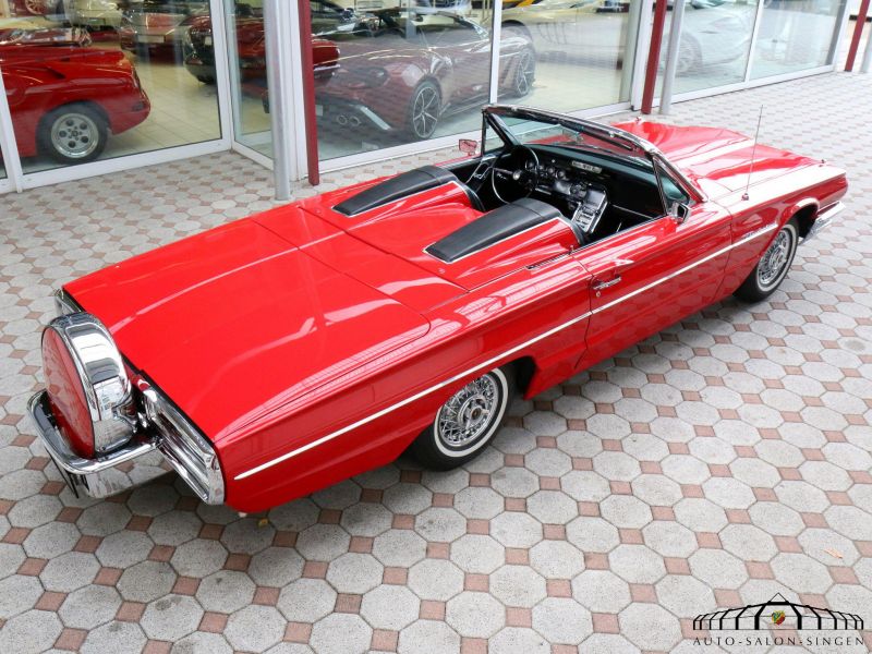 Ford Thunderbird Flair Bird